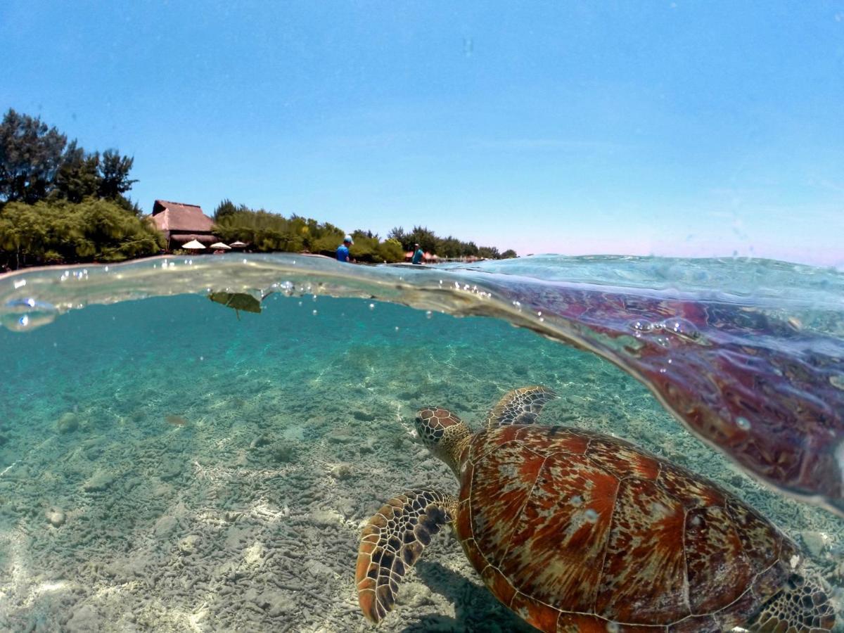 Mimpi Bungalow Gili Meno Exteriör bild